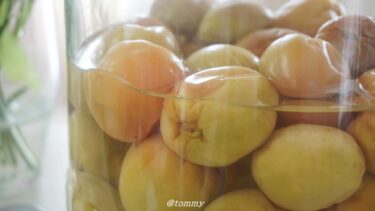 梅シロップの作り方・リンゴ酢入りの簡単レシピ