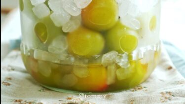 【冷凍梅で簡単】シロップの作り方/発酵やカビを防げる/さわやかリンゴ酢入り