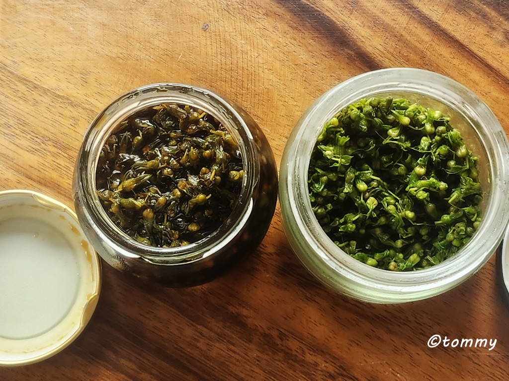 醤油漬けと塩漬け